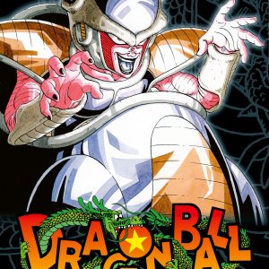 Dragon Ball Massiv 8