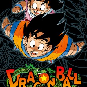 Dragon Ball Massiv 9