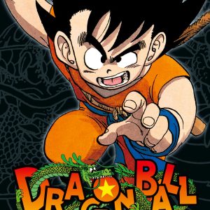 Dragon Ball Massiv 1
