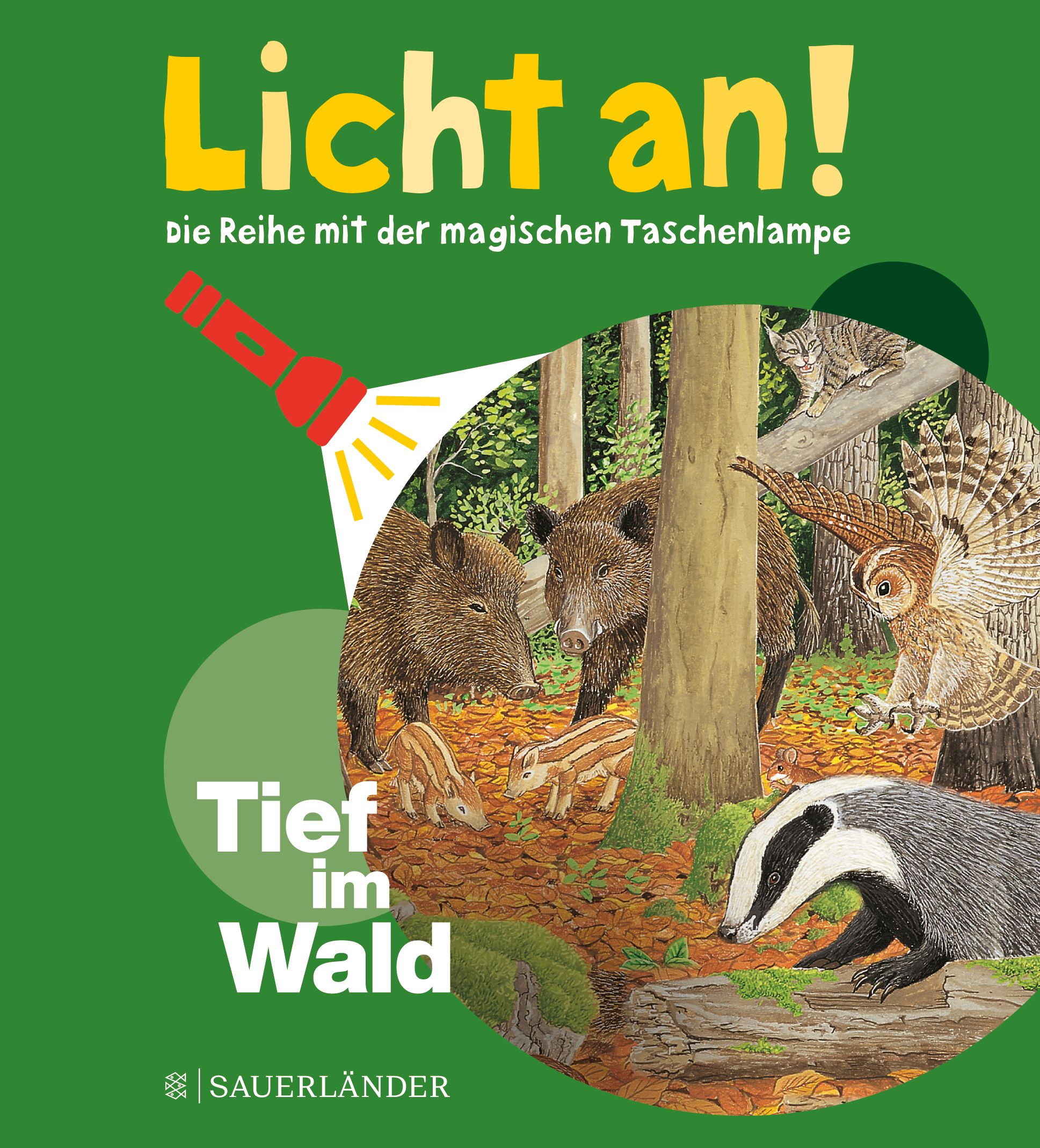 Licht an 04 Tief im Wald