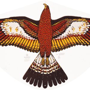 Günther Einleinerdrachen Goldadler, 92x62cm