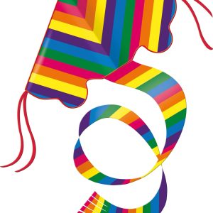 Günther Einleinerdrachen Rainbow, 97x58cm